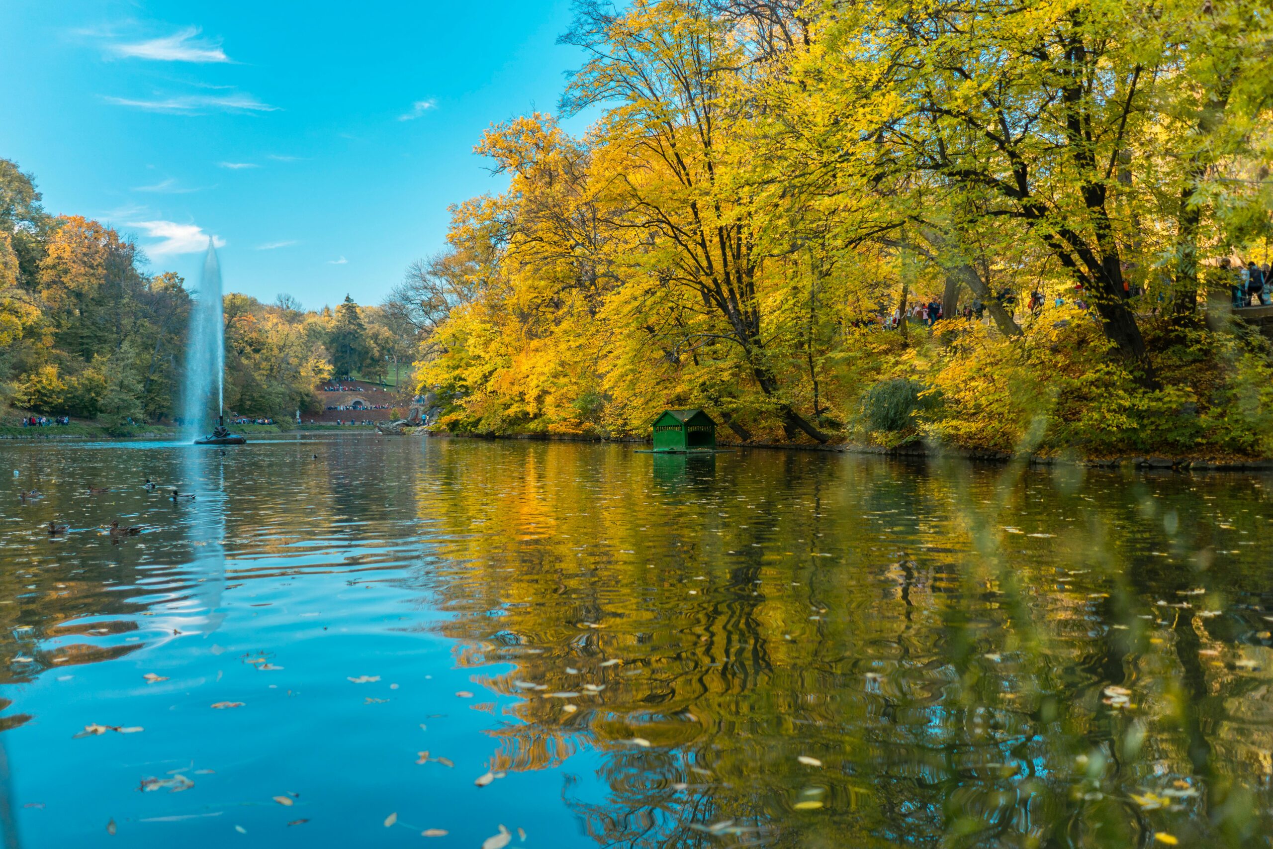 pexels-freestockpro-12932357 pexels-freestockpro-12932357